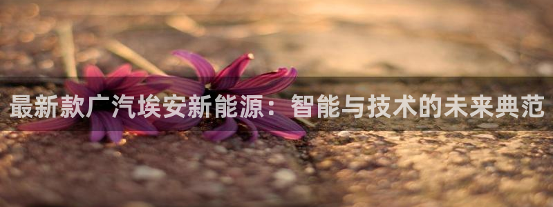 新宝gg是什么