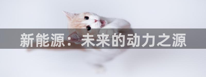 新宝gg登录地址