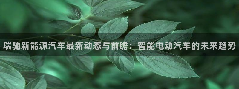 新宝gg好吗