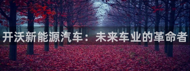 vip新宝gg