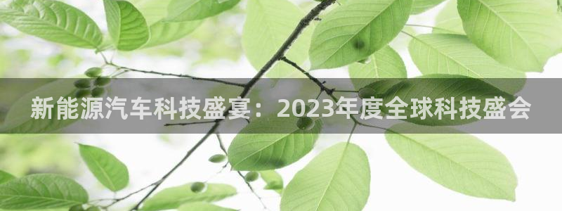 新宝gg创建奇迹