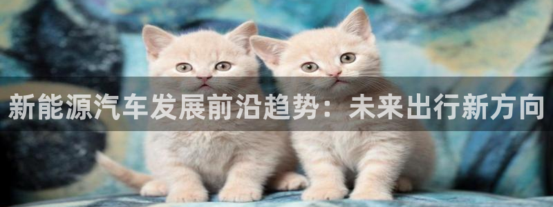 新宝gg套利