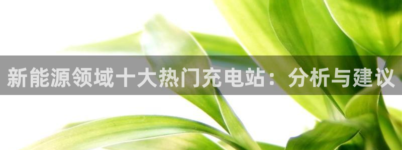 新宝gg娱乐登录地址：新能源领域十大热门