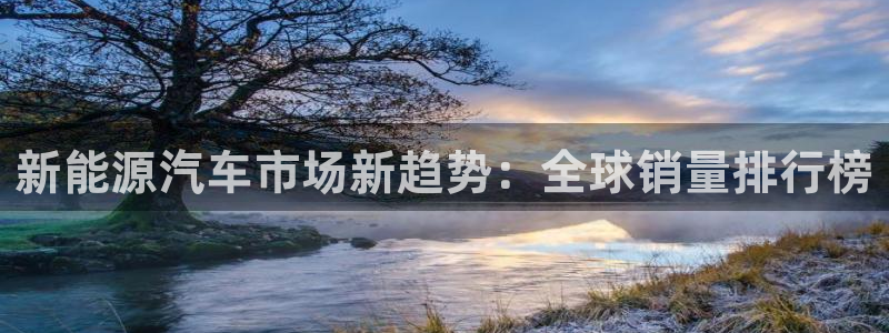新宝gg登录注册：新能源汽车市场新趋势：