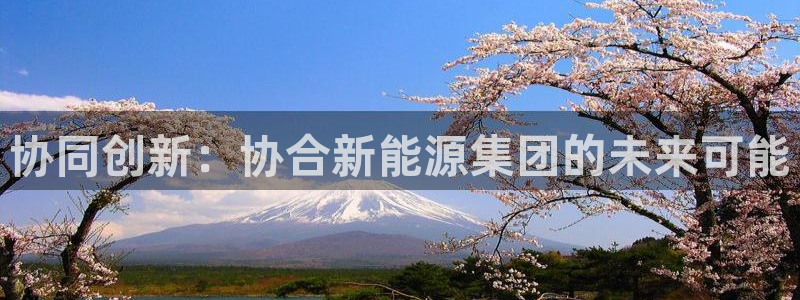 新宝gg109：协同创新：协合新能源集团