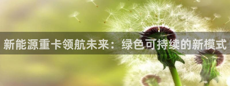 新宝GG上级