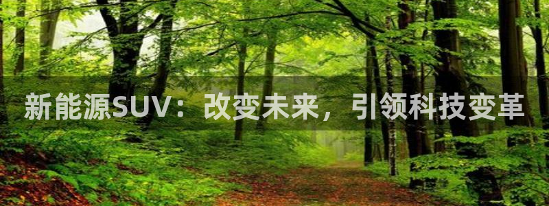 百度新宝gg：新能源SUV：改变未来，引