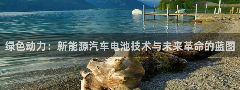新宝gg手机登录官网：绿色动力：新能源汽