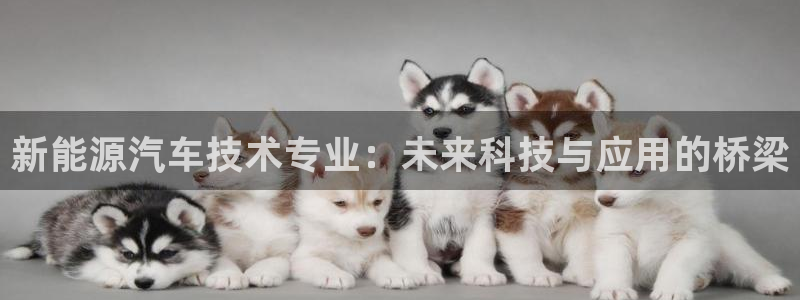 网站是新宝gg：新能源汽车技术专业：未来