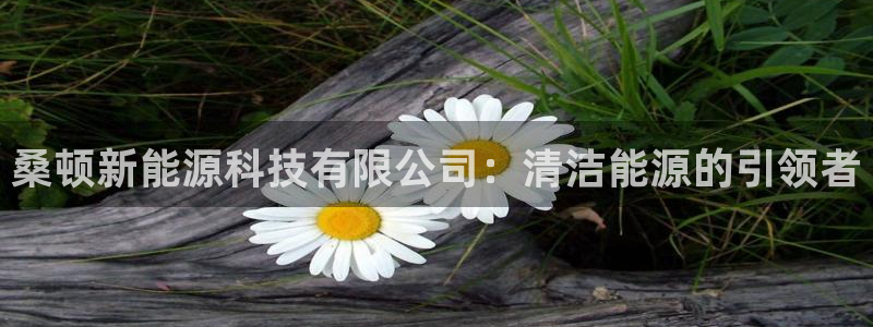 新宝gg官网