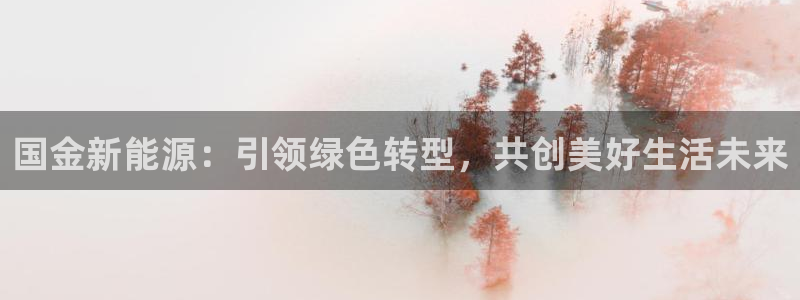 新宝GG扩展78778：国金新能源：引领