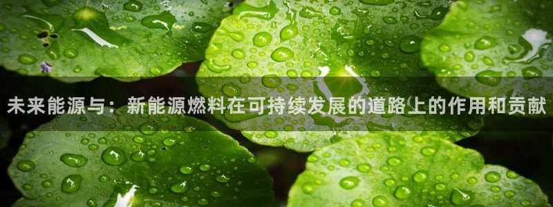 新宝gg登录新：未来能源与：新能源燃料在