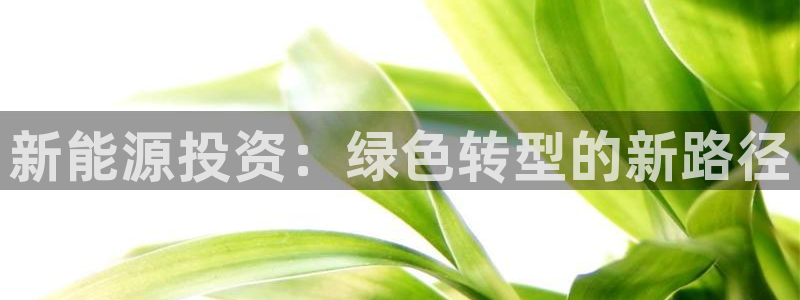 新宝gg娱乐怎么样：新能源投资：绿色转型