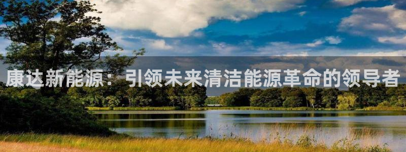 新宝.gg：康达新能源：引领未来清洁能源