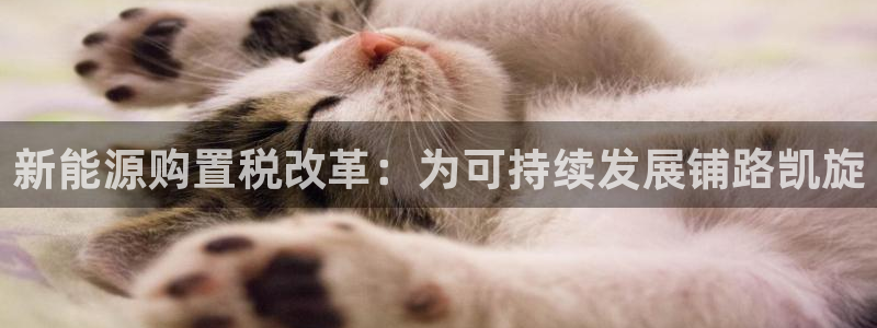 新宝gg主管