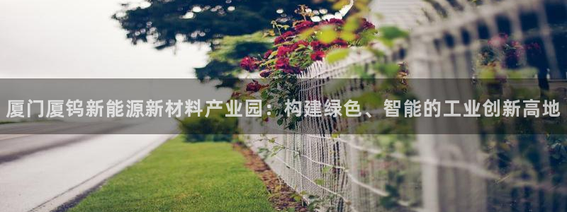 新宝gg挂机app：厦门厦钨新能源新材料