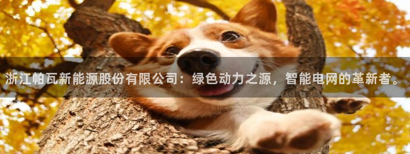 新宝gg违法