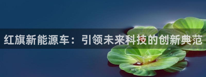 新宝gg dengludizhi：红旗新