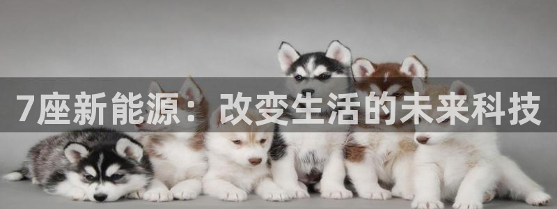 新宝gg招商：7座新能源：改变生活的未来