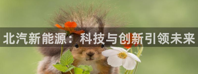 新宝gg域：北汽新能源：科技与创新引领未