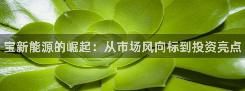 新宝gg官网登录找代理：宝新能源的崛起：