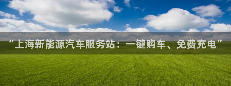新宝gg官网：“上海新能源汽车服务站：一