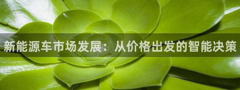 新宝gg直属：新能源车市场发展：从价格出