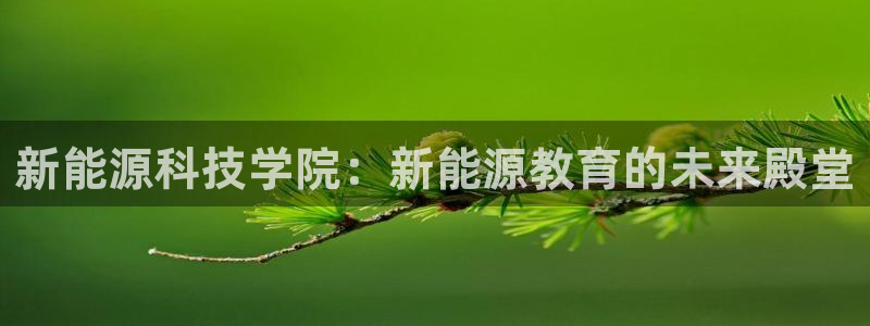 新宝gg新宝5:新能源科技学院:新能源教育的未来殿堂