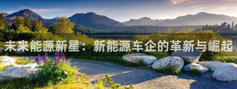 新宝gg招商致胜团队