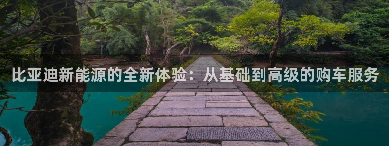 新宝gg账户注册:比亚迪新能源的全新体验:从基础到高级的购车