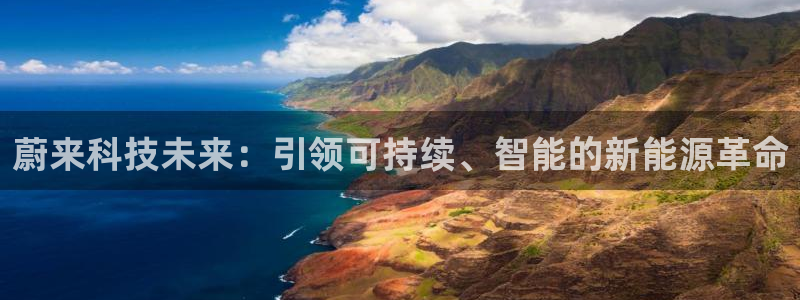 新宝-gg:蔚来科技未来:引领可持续、智能的新能源革命