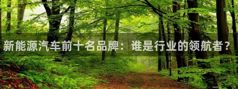 新宝gg域:新能源汽车前十名品牌:谁是行业的领航者?