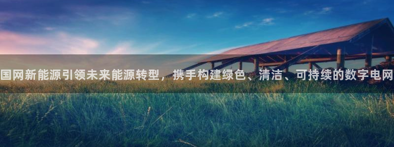 11新宝gg:国网新能源引领未来能源转型,携手构建绿色、清洁