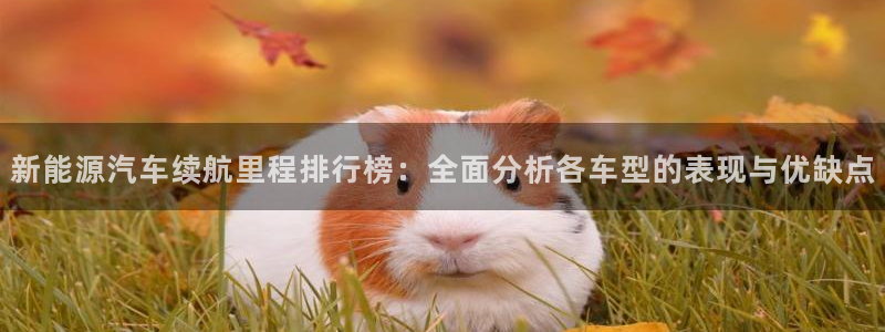 新宝gg开