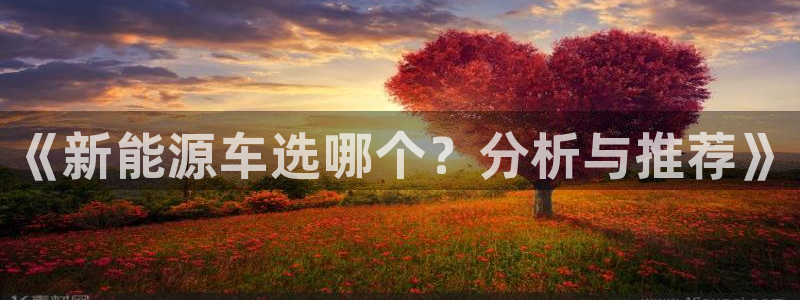 新宝 gg 总代理