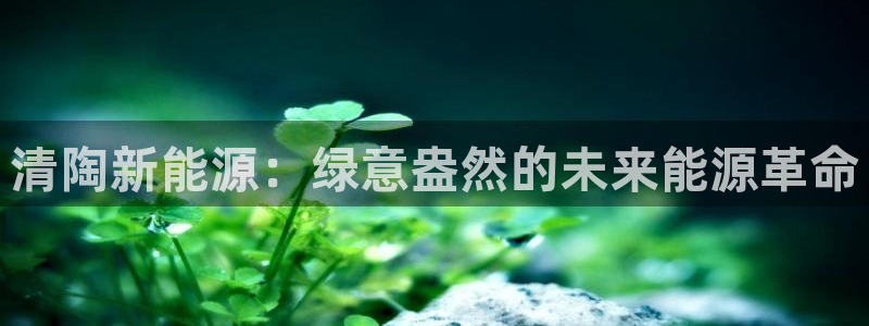 新宝gg—登录:清陶新能源:绿意盎然的未来能源革命