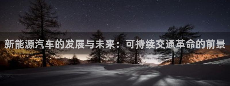 新宝gg 平台怎么样：新能源汽车的发展与