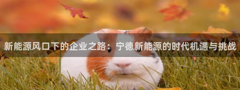 新宝gg运营88383：新能源风口下的企