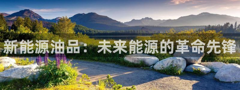 新宝gg干嘛:新能源油品:未来能源的革命先锋