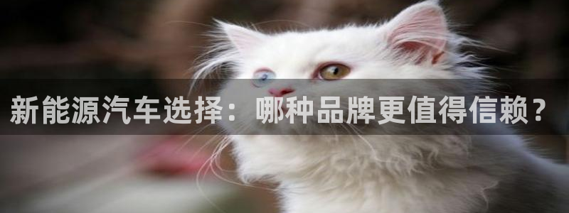 新宝gg登录注册:新能源汽车选择:哪种品牌更值得信赖?