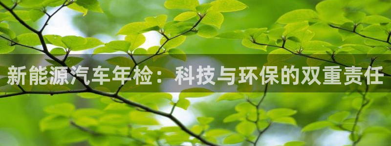 新宝gg 彩票:新能源汽车年检:科技与环保的双重责任