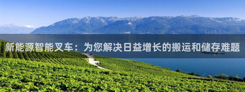 新宝gg开户:新能源智能叉车:为您解决日益增长的搬运和储存难