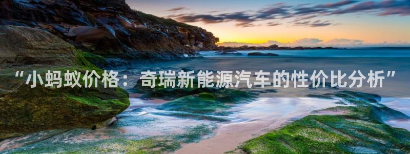 新宝gg开:“小蚂蚁价格:奇瑞新能源汽车的性价比分析”