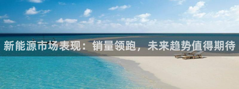 新宝gg 502:新能源市场表现:销量领跑,未来趋势值得期待