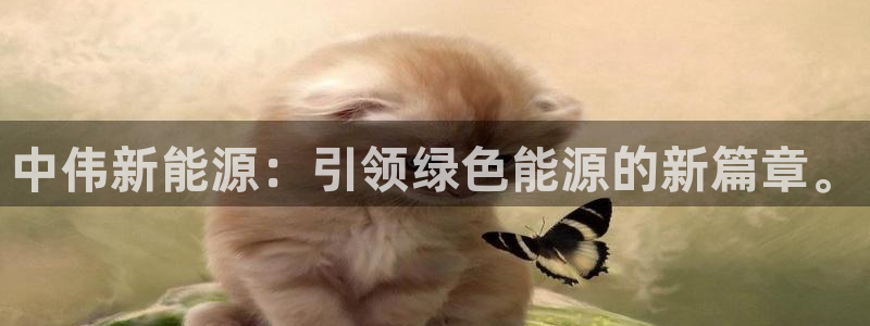 新宝gg官网登录找代理:中伟新能源:引领绿色能源的新篇章。
