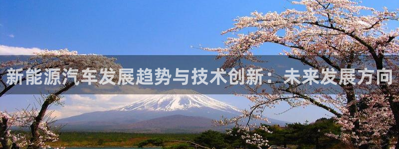 新宝+gg+登录:新能源汽车发展趋势与技术创新:未来发展方向