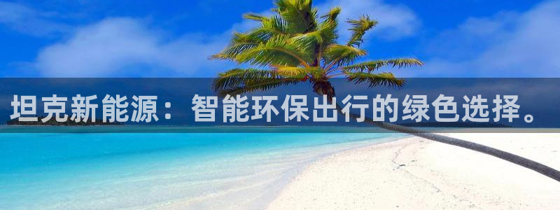 新宝gg新宝6:坦克新能源:智能环保出行的绿色选择。