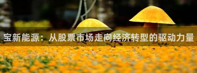 新宝gg返点1956是多少:宝新能源:从股票市场走向经济转型