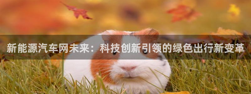 新宝gg手机登录官网:新能源汽车网未来:科技创新引领的绿色出