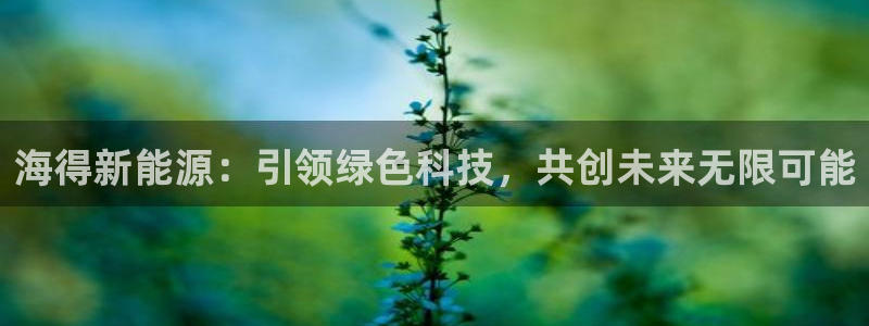 新宝GG速度:海得新能源:引领绿色科技,共创未来无限可能